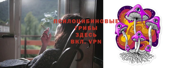 хмурый Белокуриха