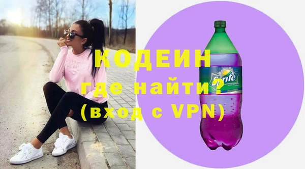 хмурый Белокуриха