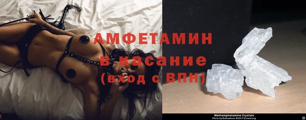 хмурый Белокуриха