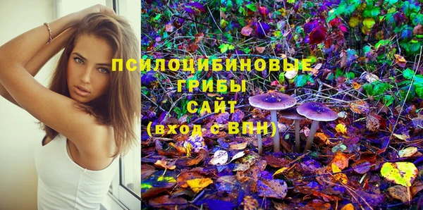 хмурый Белокуриха