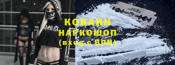 хмурый Белокуриха