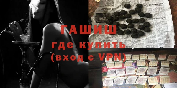 хмурый Белокуриха