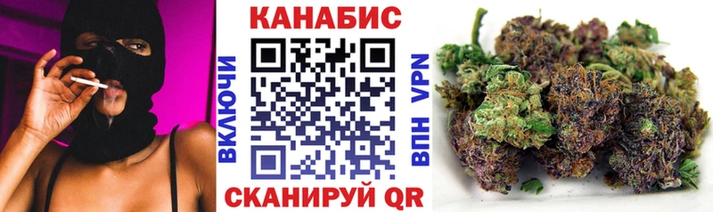 Канабис ГИДРОПОН  Обь 